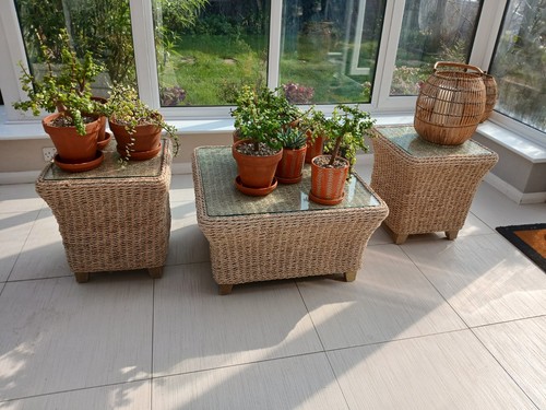 Marks spencer rattan - rattan, coffeee