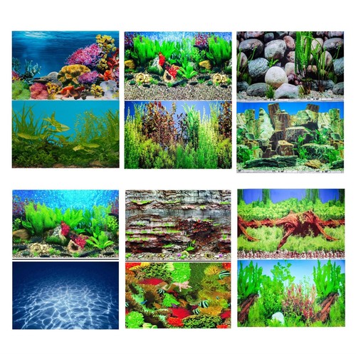 Aquarium fish tank background - fish,