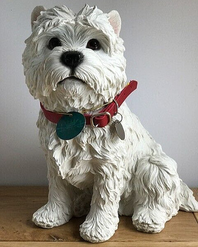 Large 23cm west - large, highland