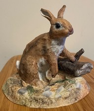 WEDGWOOD Woodland Rabbit with