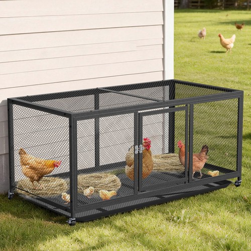Xxl outdoor metal chicken - xxl,