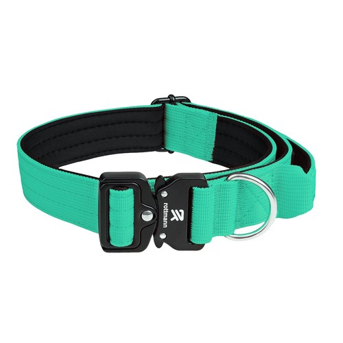 Heavy duty dog collar - dog,