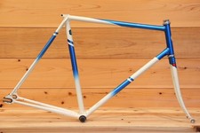 Panasonic Chromoly Track Pista