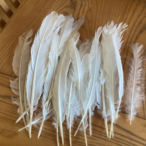 Real white feathers - real,
