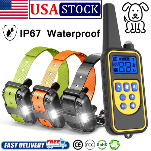 3000ft dogs training - training, collar