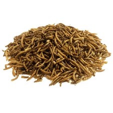 Premium Dried Mealworms, 10L