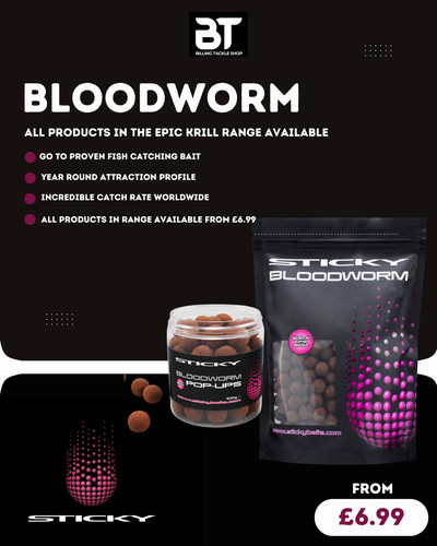 Sticky baits bloodworm full - baits,