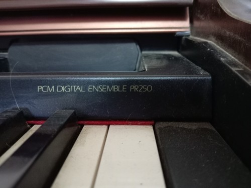 Technics pcm digital ensembe - digital,