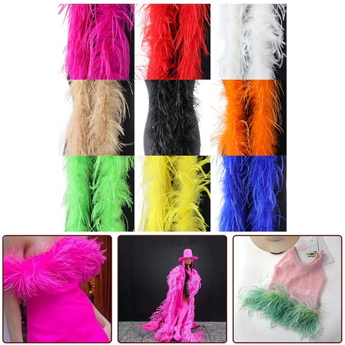 Decorative ostrich feather - decorative,