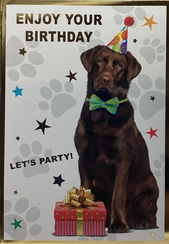 Open birthday card cute - open,