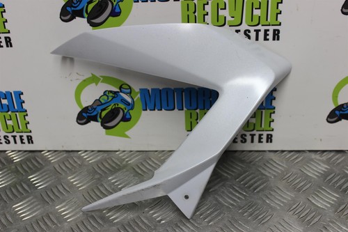 Kawasaki fairing side - kawasaki,