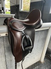 2021 Hulsebos Brown Dressage