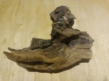 Unique Rooty Driftwood Piece 22.5x17x9cm Approx Ideal For Craft Or An Ornament 