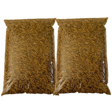 Dried Mealworms Premium Wild