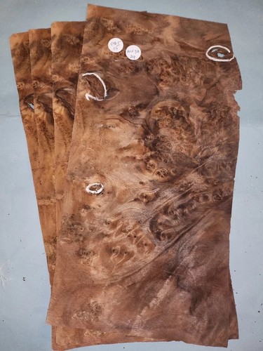 American walnut burr veneer - burr,