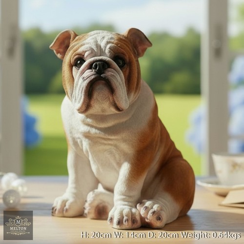 Sitting bulldog dog lovely - bulldog,