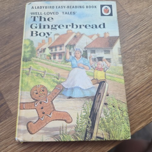 Ladybird book well loved - ladybird,