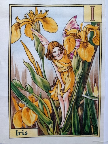 Iris alphabet letters - i,