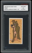 Tramp 1989 Brooke Bond Foods 1st Graded 10 Magical World Of Disney Card