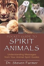Pocket Guide to Spirit