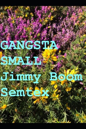 Semtex gangsta small - gangsta,