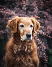 Fuji X Fit Lens Helios 44-2