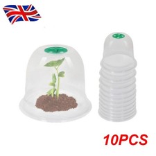 10Pack 19.2cm Garden Cloche