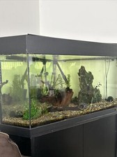 aquarium fish tank external filter used