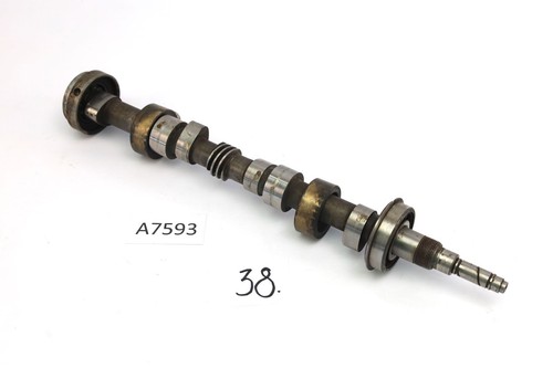Benelli tornado 650 - 650, s