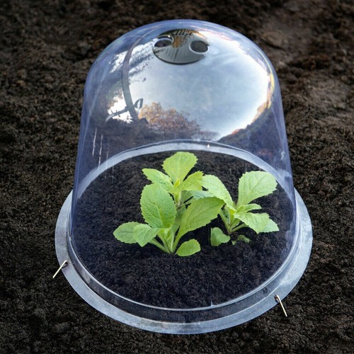 Garden bell cloche mini - bell,