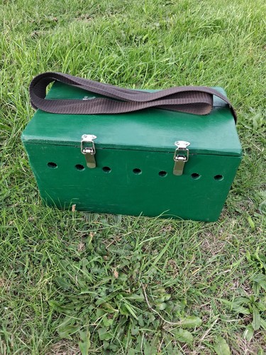 Ferret bow back painted - ferret,