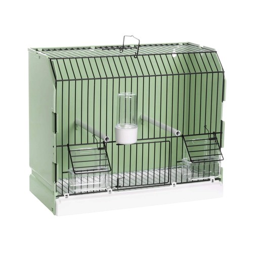 Bird show and exhibition cage - bird,