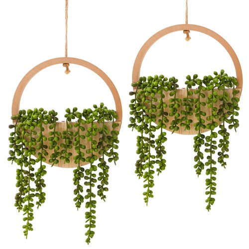Hobyhoon hanging plant - hanging,