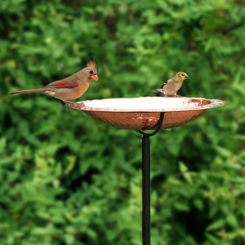 Pure copper standing bird bath - pure,