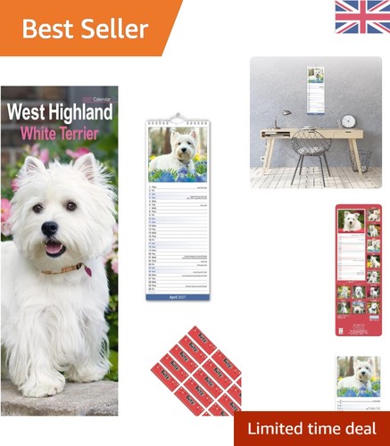 Elegant west highland terrier - elegant,