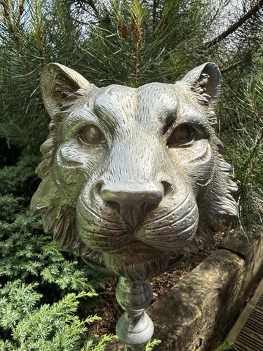 Vintage tiger head - head, jardiniere