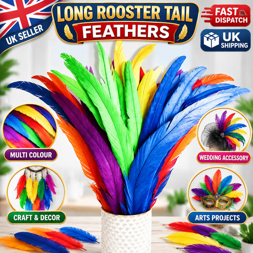 Long rooster tail - tail, feathers