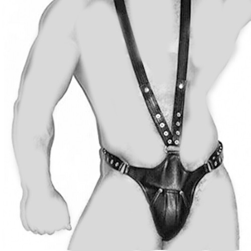 Fetish gay harness - gay, open