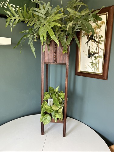 Vintage wooden plant - vintage,
