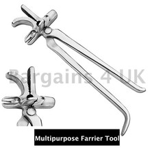 Professional Farrier