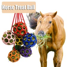 Horse Treat Ball Hay Feeder