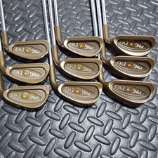 Ping EYE2 Iron Set 9 Pieces PRECISION FM 6.0 Right Handed F/S #94