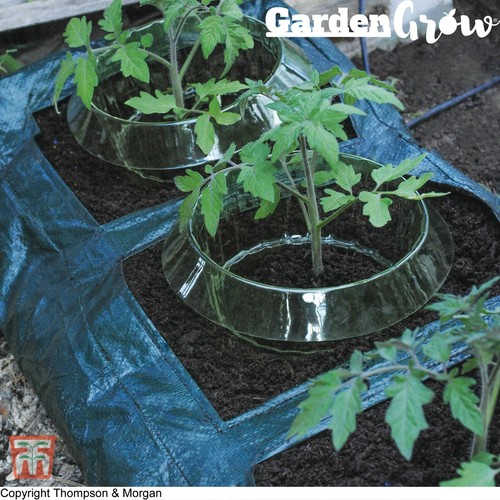Garden grow slug snail collar - garden,