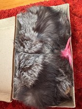 Vintage Genuine Silver Fox Fur