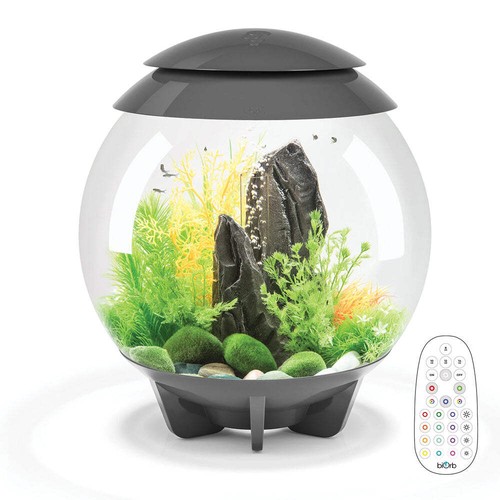 Biorb halo aquarium - 30, fis