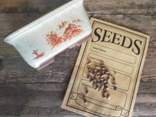 Japanese Black Pine Seeds