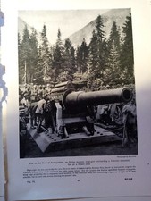 L1u Ephemera 1916 ww1 picture italian siege gun bombarding trentino Mountain 