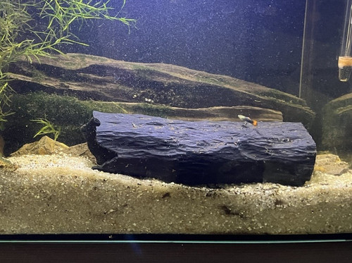 Pleco breeding cave hide - cave, |