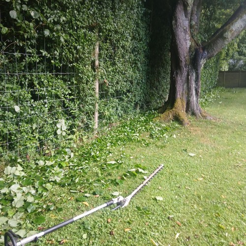 Stihl kombi 145 hedge trimmer - kombi,