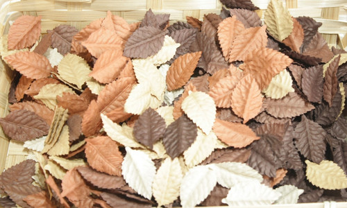 50x brown mix leaves - , mulberry